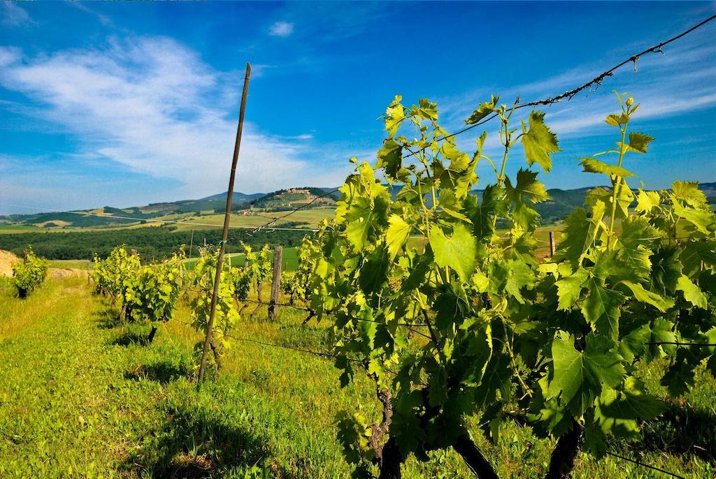 Agriturismo Il Canterino Guardistallo Buitenkant foto